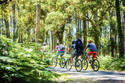 Per Rad von der Neiße in den Spreewald / NOZ