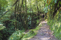 Wanderparadies Azoren - Die Naturschönheiten auf São Miguel aktiv erleben / Mix