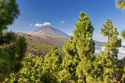 Die Kanarischen Inseln Entdecken Sie die Vielfalt Teneriffas und La Palmas / mix