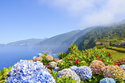 Blumeninsel Madeira Farben und Düfte des ewigen Frühlings / mix