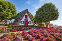 Blumeninsel Madeira Farben und Düfte des ewigen Frühlings / mix